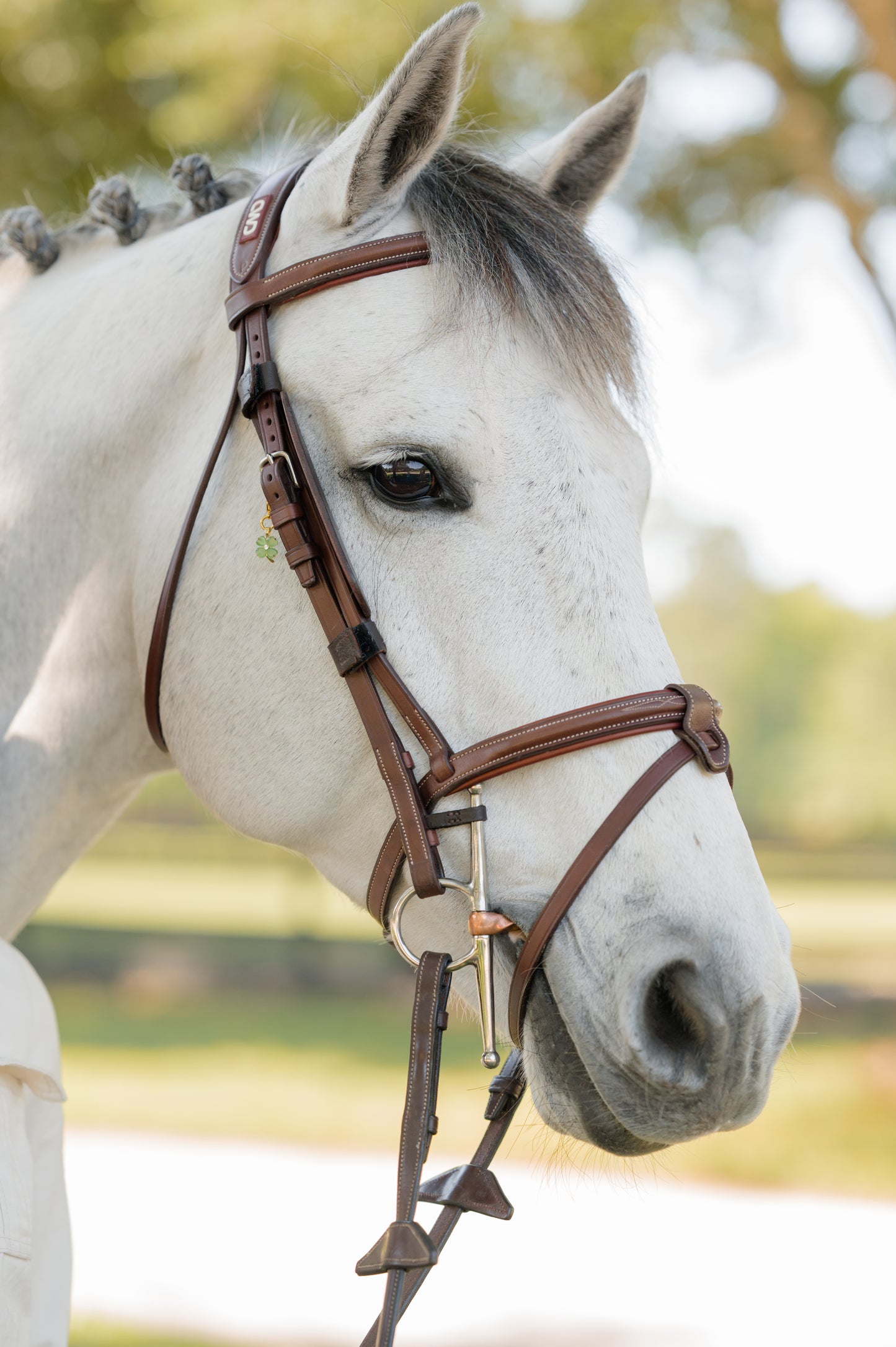 The Bridle Charm